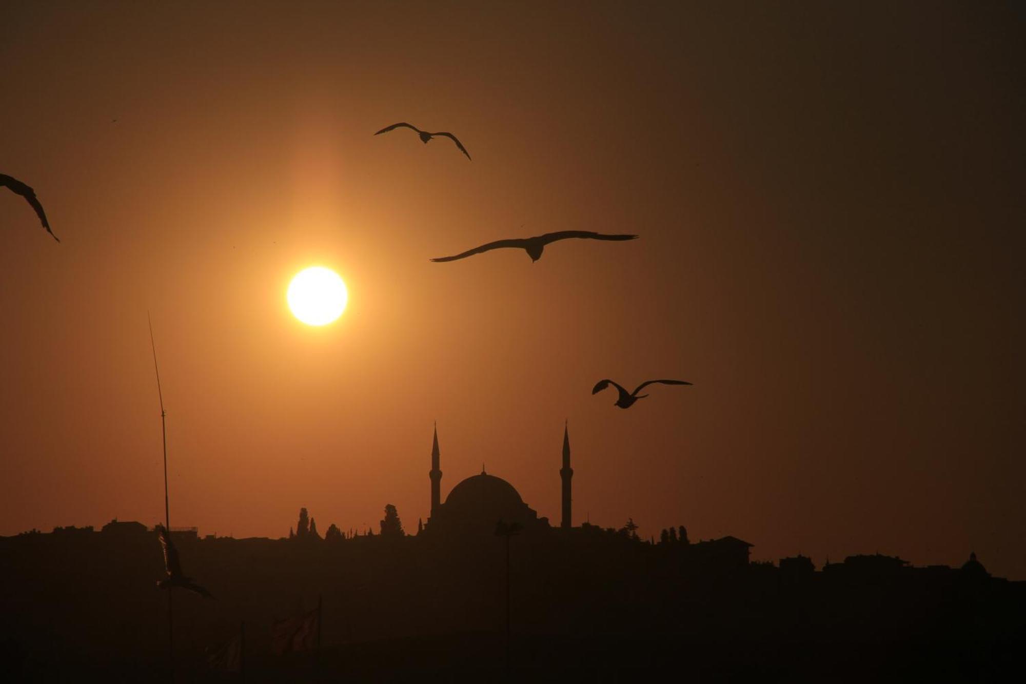 Konak Apart Hotel Istanbul Rom bilde